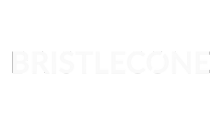 Bristelcone
